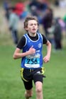 Blue 256, North East Harrier League, Sunderland